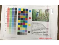 柯尼卡美能達(dá)復(fù)印機(jī)C210打印有紅色線是什么問題？