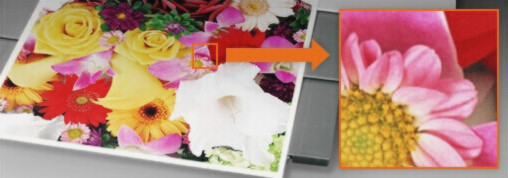 柯尼卡美能達C287品牌環保顯影單元效果圖片--廣東震旦