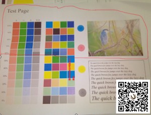 柯尼卡美能達復印機C210打印圖片偶爾半邊圖像異常是什么問題？-科頤辦公工程師分析